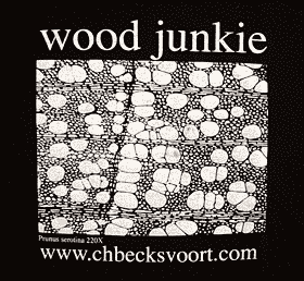 T-Shirt design